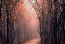 开云-全运会｜击剑收官：上海男重团体夺金 福建女花团体卫冕