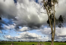 开云app-全运会 | 江苏男棒取得全运会两连冠