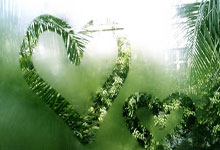 开云-全运会｜击剑收官：上海男重团体夺金 福建女花团体卫冕