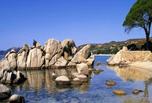 开云app-全运会 | 江苏男棒取得全运会两连冠